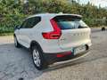 Volvo XC40 XC40 D3 Geartronic Momentum Bianco - thumbnail 8