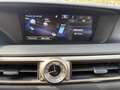 Lexus GS 300 300h Luxury Grau - thumbnail 35
