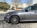 Lexus GS 300 300h Luxury Grau - thumbnail 9