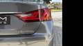 Lexus GS 300 300h Luxury Grau - thumbnail 17
