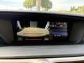 Lexus GS 300 300h Luxury Grau - thumbnail 36