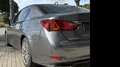 Lexus GS 300 300h Luxury Grau - thumbnail 14