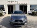 Lexus GS 300 300h Luxury Grau - thumbnail 2