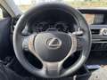 Lexus GS 300 300h Luxury Grau - thumbnail 25