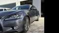 Lexus GS 300 300h Luxury Grau - thumbnail 11