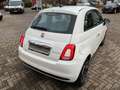 Fiat 500 Club - thumbnail 6