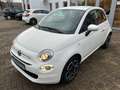 Fiat 500 Club - thumbnail 4