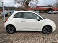 Fiat 500 Club - thumbnail 5
