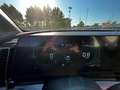 Kia Sportage Sportage V 2022 1.6 crdi mhev Business dct Verde - thumbnail 16