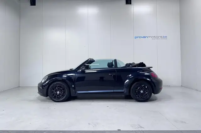 Volkswagen Beetle view 7