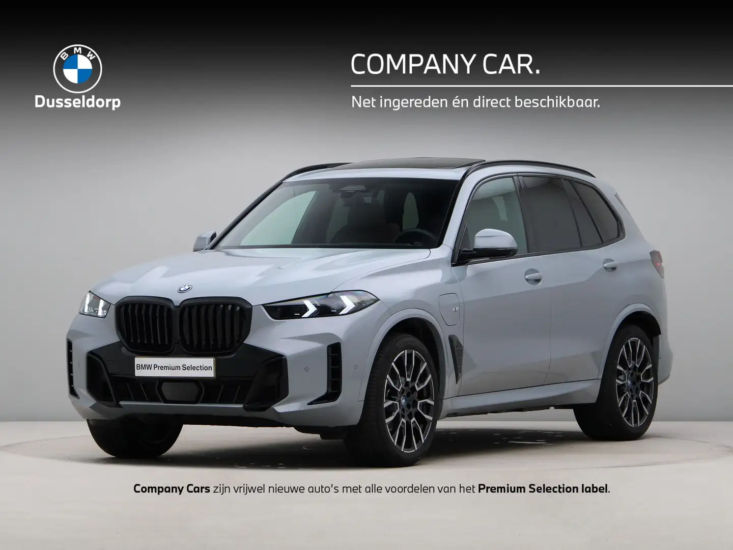 BMW X5 xDrive50e *vraag naar de levertijd* Grijs - 1