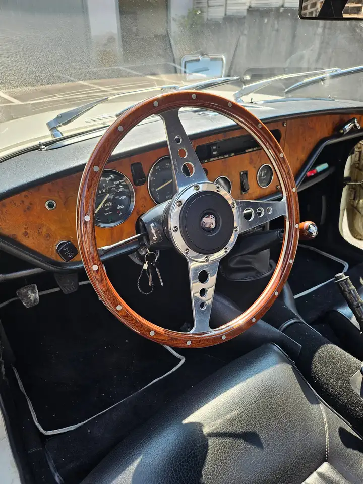 Triumph, foto 6