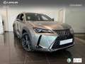 Lexus UX 300h + Plateado - thumbnail 12