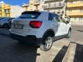 Audi Q2 Q2 I 2021 35 2.0 tdi Business quattro s-tronic Weiß - thumbnail 4