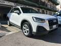 Audi Q2 Q2 I 2021 35 2.0 tdi Business quattro s-tronic Weiß - thumbnail 1