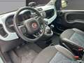 Fiat Panda 1.0 Hybride  Cross Blau - thumbnail 9