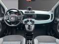 Fiat Panda 1.0 Hybride  Cross Blau - thumbnail 2