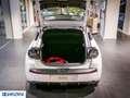 Lancia Ypsilon 51kW Bianco - thumbnail 11