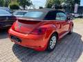 Volkswagen Beetle The  Cabriolet 2.0 TDI DSG Blue Motion Techn Club Oranje - thumbnail 5