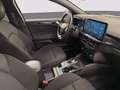 Ford Focus 1.5 ecoblue ST-Line 115cv auto Grau - thumbnail 8