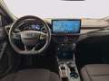 Ford Focus 1.5 ecoblue ST-Line 115cv auto Grau - thumbnail 6