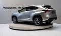 Lexus NX 300h F-Sport 197 PK, Ad.cruise, Head-up, Keyless, Leder Gris - thumbnail 4