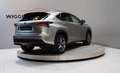 Lexus NX 300h F-Sport 197 PK, Ad.cruise, Head-up, Keyless, Leder Gris - thumbnail 5
