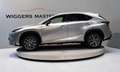 Lexus NX 300h F-Sport 197 PK, Ad.cruise, Head-up, Keyless, Leder Gris - thumbnail 17