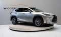 Lexus NX 300h F-Sport 197 PK, Ad.cruise, Head-up, Keyless, Leder Gris - thumbnail 9