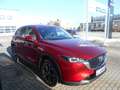 Mazda CX-5 2.0l 165PS ADVANTAGE 360°#SHZ#LHZ#LED#NAVI#DAB Rot - thumbnail 4