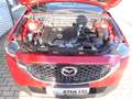 Mazda CX-5 2.0l 165PS ADVANTAGE 360°#SHZ#LHZ#LED#NAVI#DAB Rot - thumbnail 12