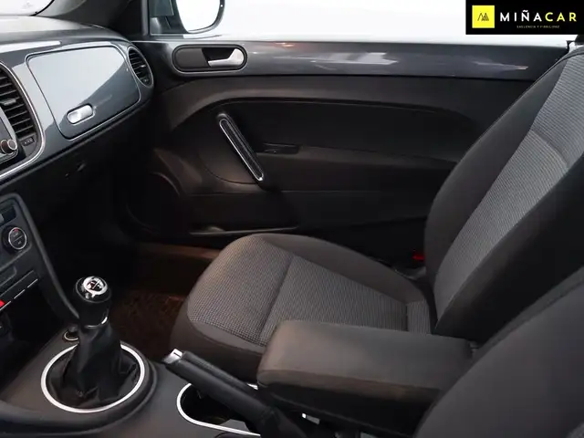 Volkswagen Beetle view 17