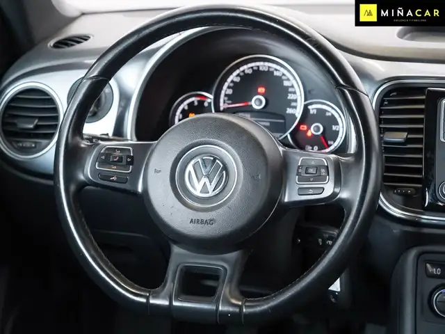 Volkswagen Beetle view 12