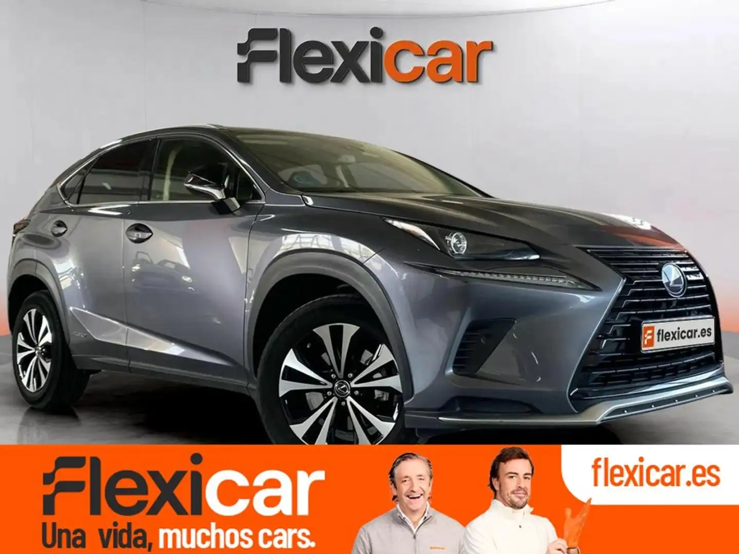 Lexus NX 300h 2.5 Premium 2WD Grigio - 1