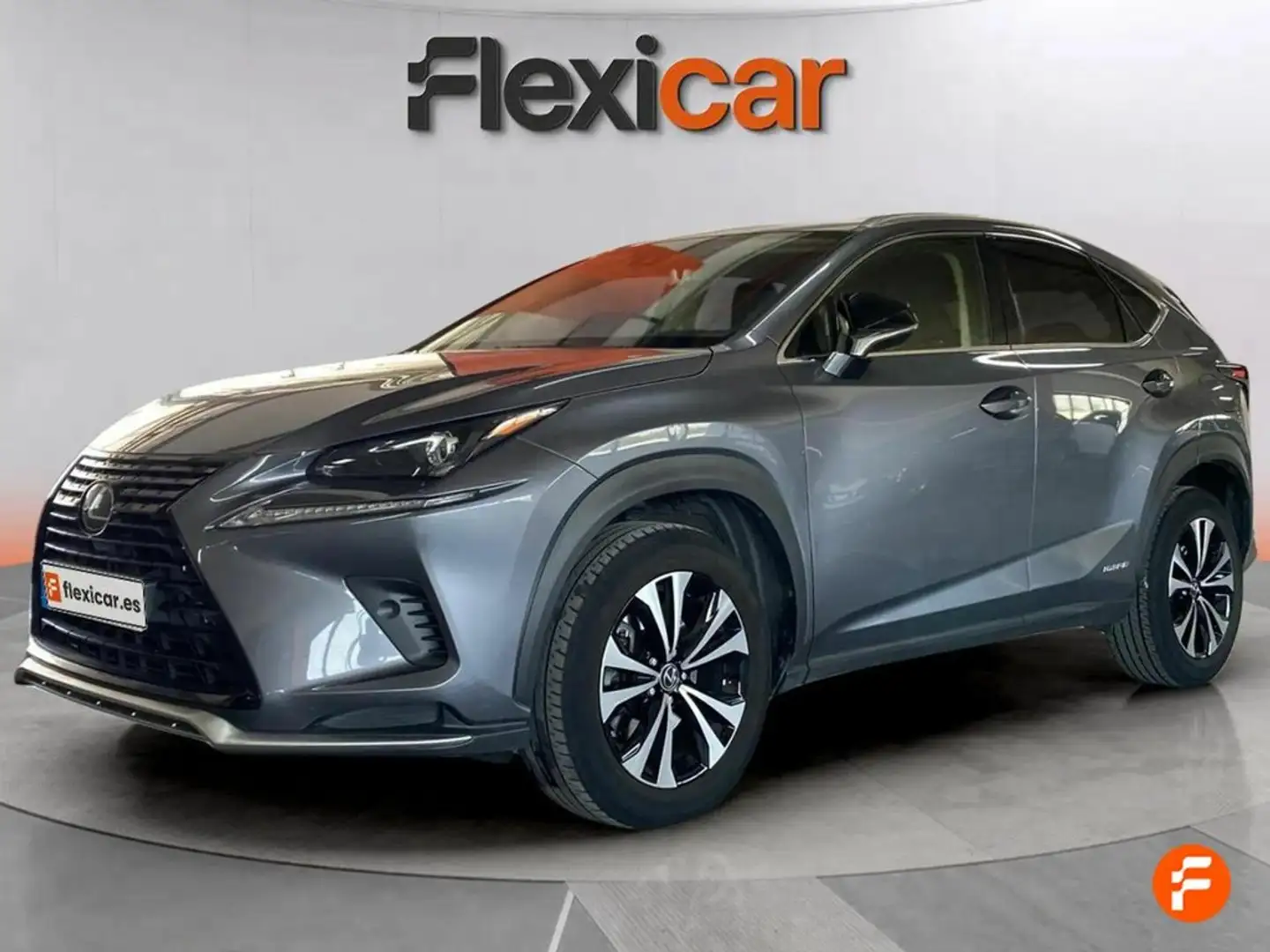 Lexus NX 300h 2.5 Premium 2WD Grigio - 2