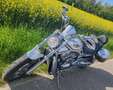 Harley-Davidson VRSC V-Rod 100 th Anniwersary Edition Plateado - thumbnail 5