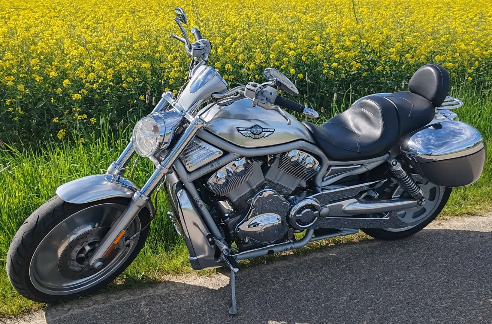 Harley-Davidson VRSC V-Rod 100 th Anniwersary Edition Plateado - 1