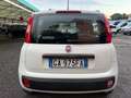 Fiat Panda Panda 1.2 Lounge Bianco - thumbnail 5