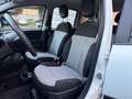 Fiat Panda Panda 1.2 Lounge Bianco - thumbnail 10