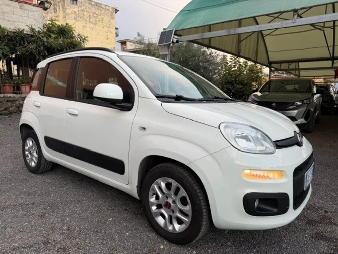 Fiat Panda Panda 1.2 Lounge Bianco - 1