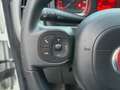 Fiat Panda Panda 1.2 Lounge Bianco - thumbnail 13
