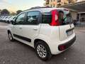 Fiat Panda Panda 1.2 Lounge Bianco - thumbnail 4