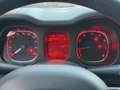 Fiat Panda Panda 1.2 Lounge Bianco - thumbnail 15