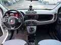 Fiat Panda Panda 1.2 Lounge Bianco - thumbnail 11