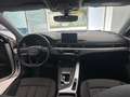 Audi A4 A4 V 2016 Avant Avant 35 2.0 tdi Sport s-tronic Weiß - thumbnail 15
