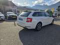 Skoda Octavia Combi 2020 2.0 TDI 150cv DSG7 Edition - thumbnail 3
