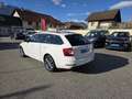 Skoda Octavia Combi 2020 2.0 TDI 150cv DSG7 Edition - thumbnail 4