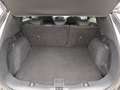 Ford Kuga 2.0 EcoBlue Hybrid 150 CV 2WD Titanium Grigio - thumbnail 14