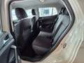 Volkswagen T-Cross Life Grün - thumbnail 18