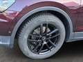 Volkswagen Tiguan 2.0 TDI DSG Comfortline AHK+PANO+LED+ACC Rot - thumbnail 8